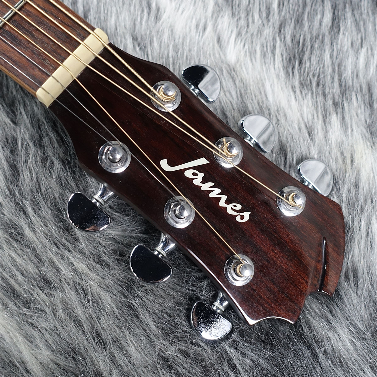 J-800D NAT James エレクトリック・アコースティックギター エレアコ