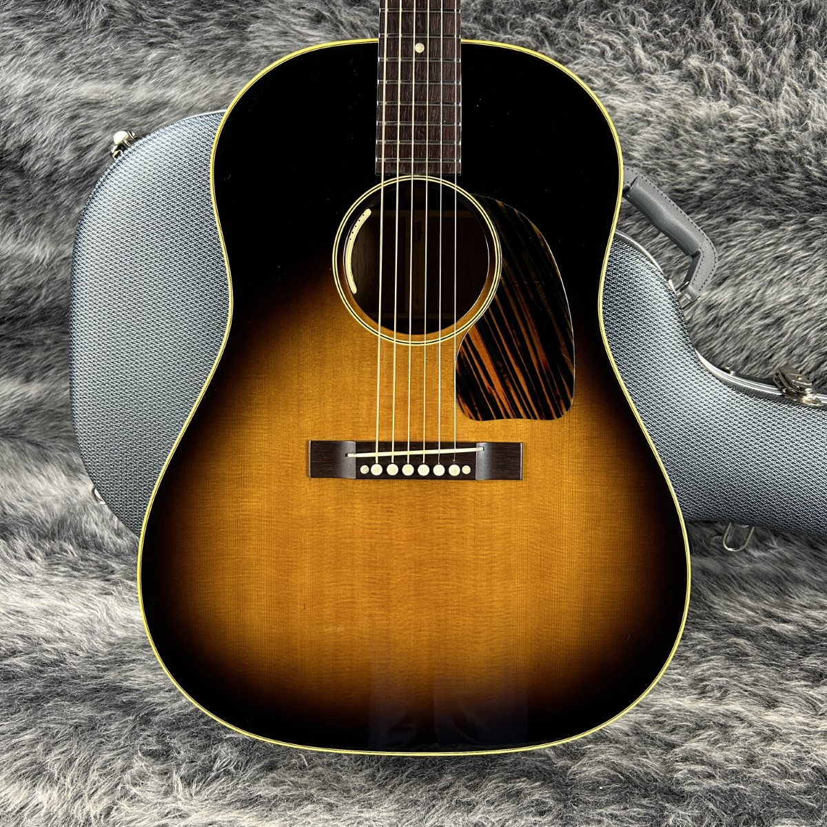 HJ-2009 Limited Edition Ⅱ w/L.R.Baggs Anthem Headway
