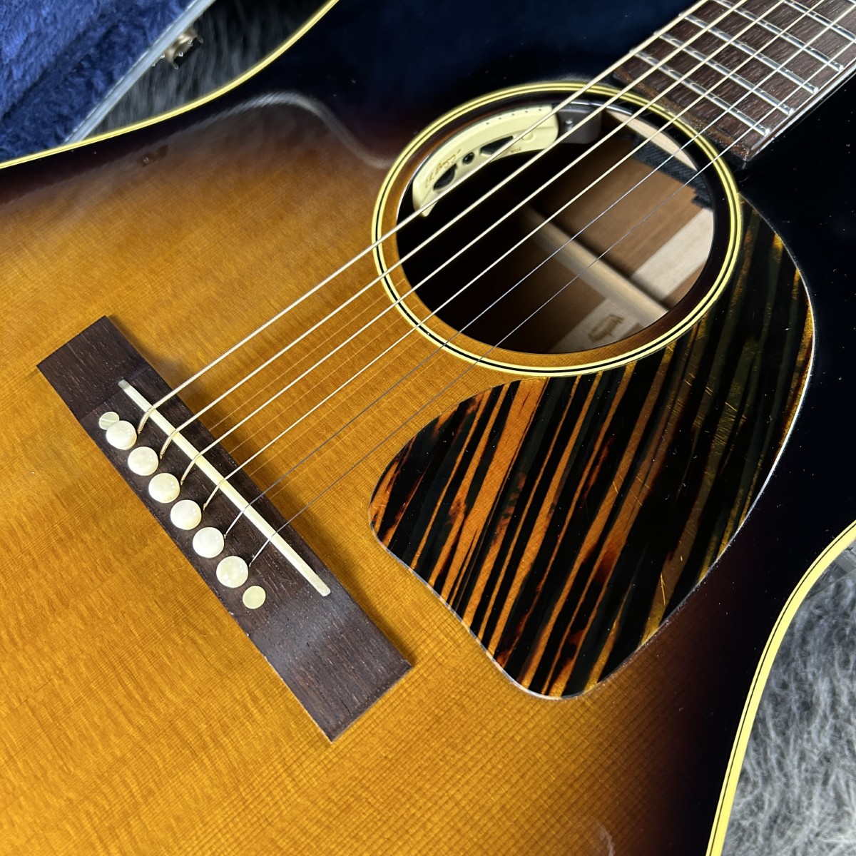 HJ-2009 Limited Edition Ⅱ w/L.R.Baggs Anthem Headway