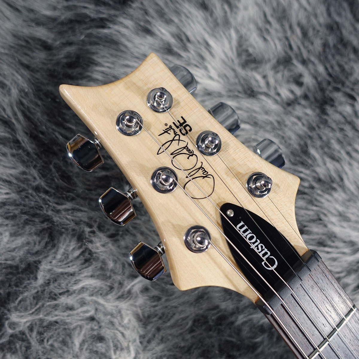 SE Custom 24-08 Eriza Verde 2022 Paul Reed Smith エレクトリック