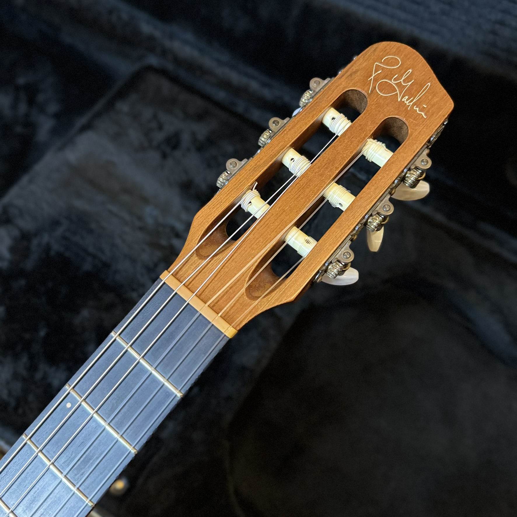ACS Godin クラシック・ギター/フラメンコ・ギター エレガット 商品