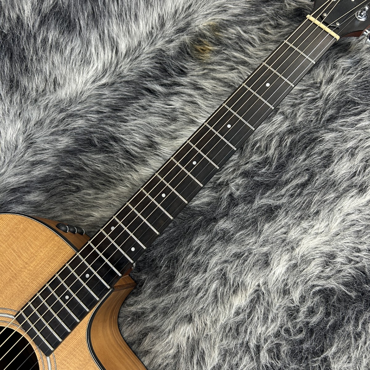 Taylor 114ce ES2 最新モデル 114ce ES2 Taylor アコースティックギター フラットトップ 商品詳細