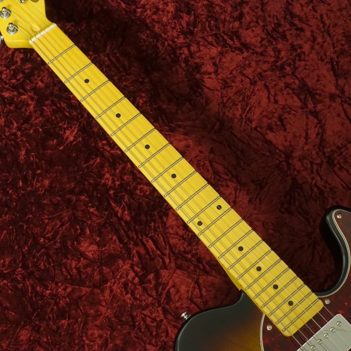 ASAT Classic Bluesboy Semi-Hollow G&L エレクトリックギター