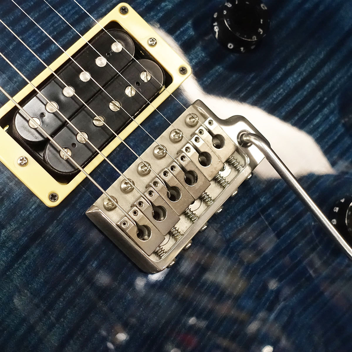Custom 24 10Top Whale Blue【2002年製】 Paul Reed Smith 