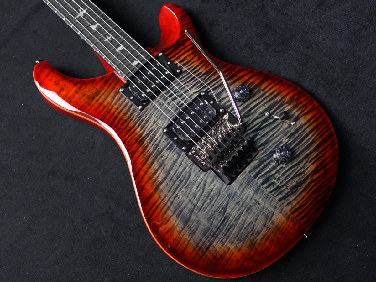 SE Custom 24 