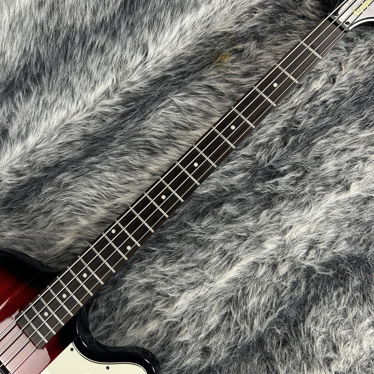 Thunderbird classic Ⅳ Pro Vintage Sunburst Epiphone