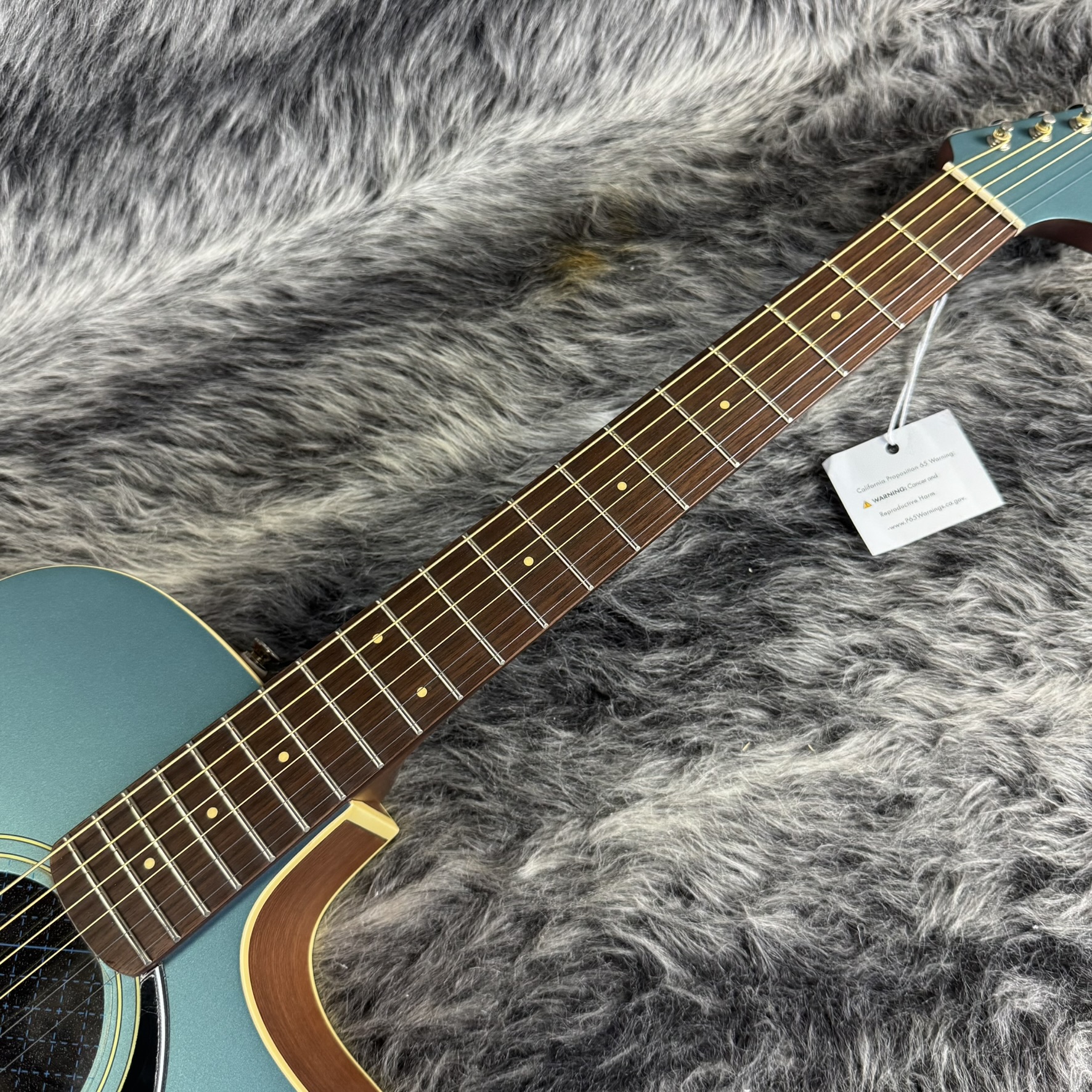 Newporter Player WN Black Pickguard Tidepool Fender エレクトリック