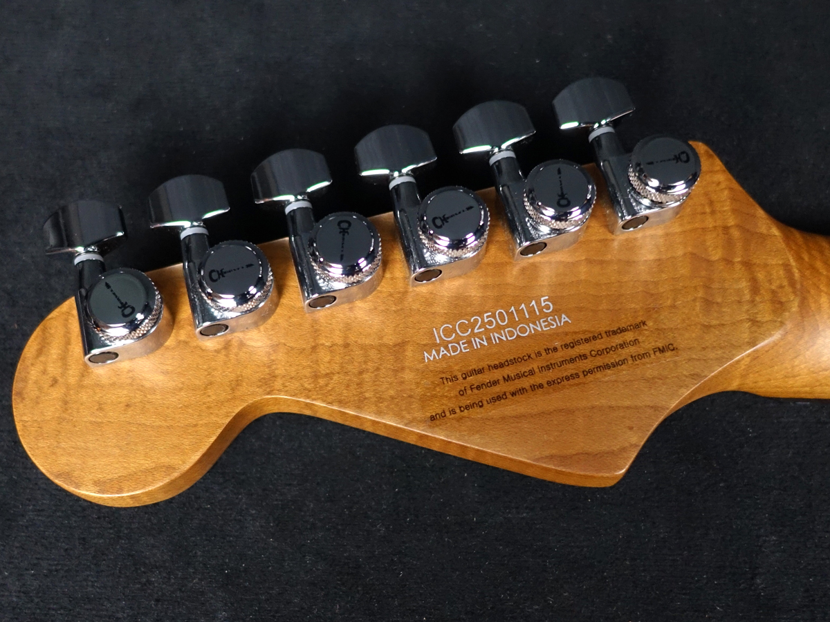 Pro-Mod Plus DK24 HH HT EB QM Violet Radiance Charvel