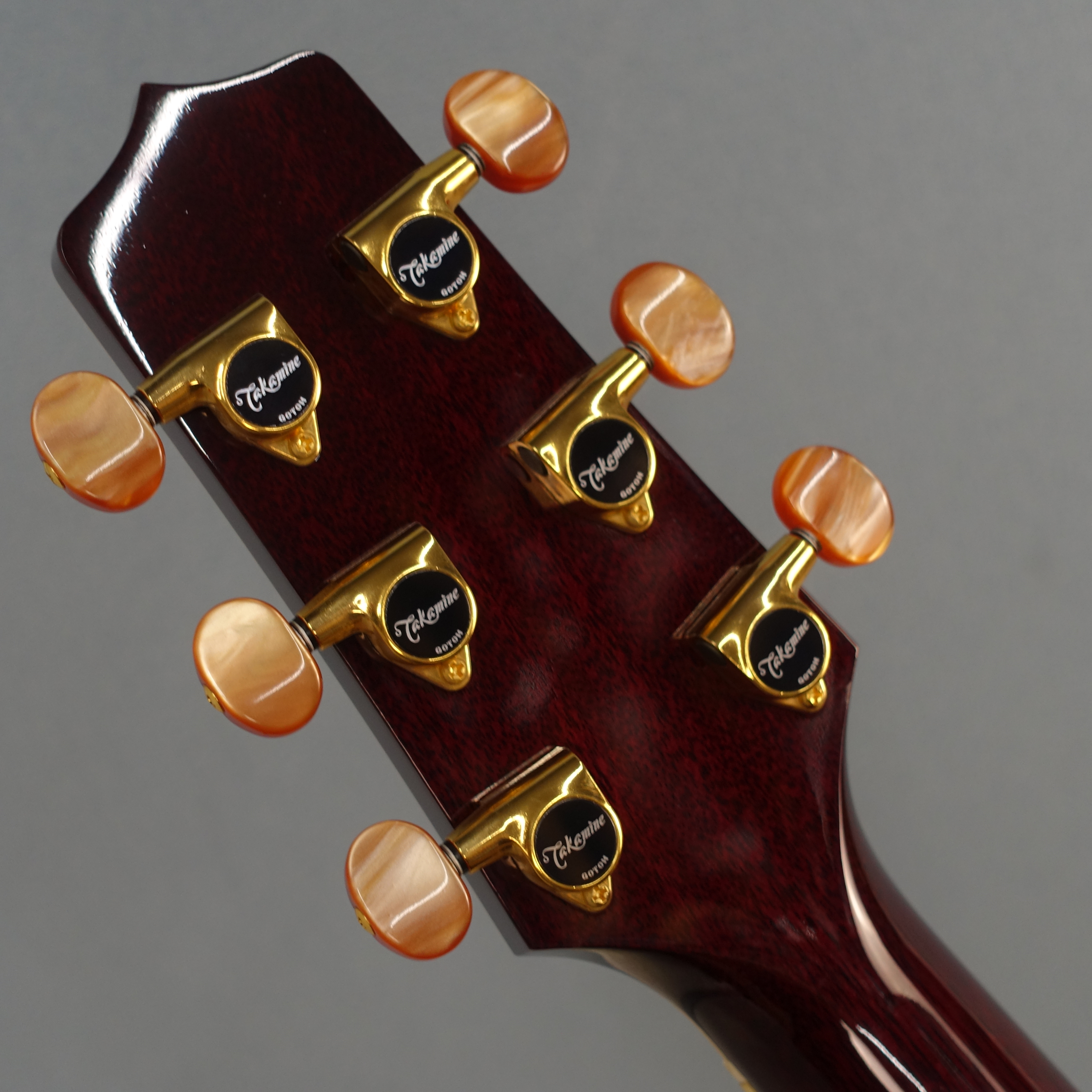 DMP50S WR Takamine エレクトリック・アコースティックギター エレアコ
