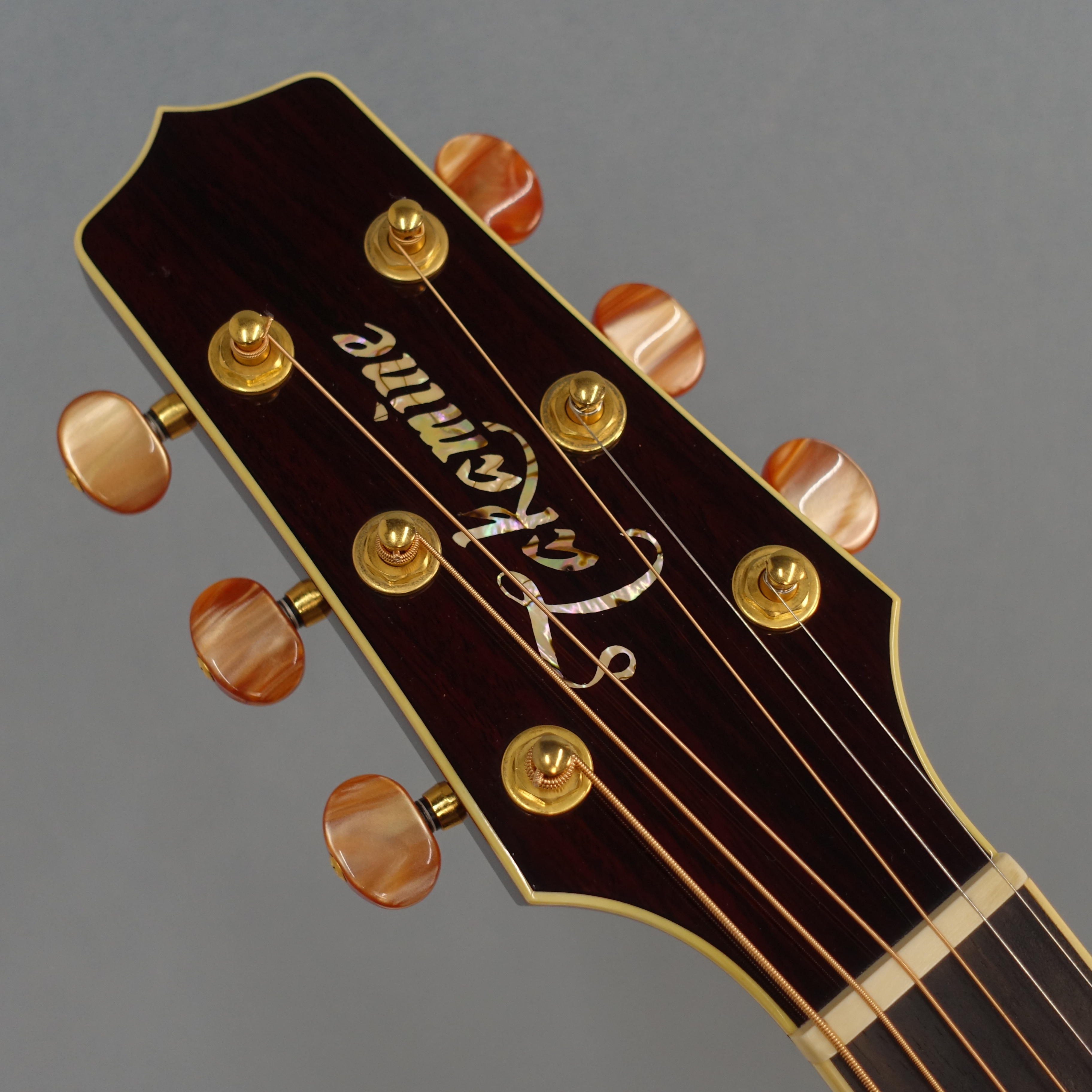 DMP50S WR Takamine エレクトリック・アコースティックギター エレアコ
