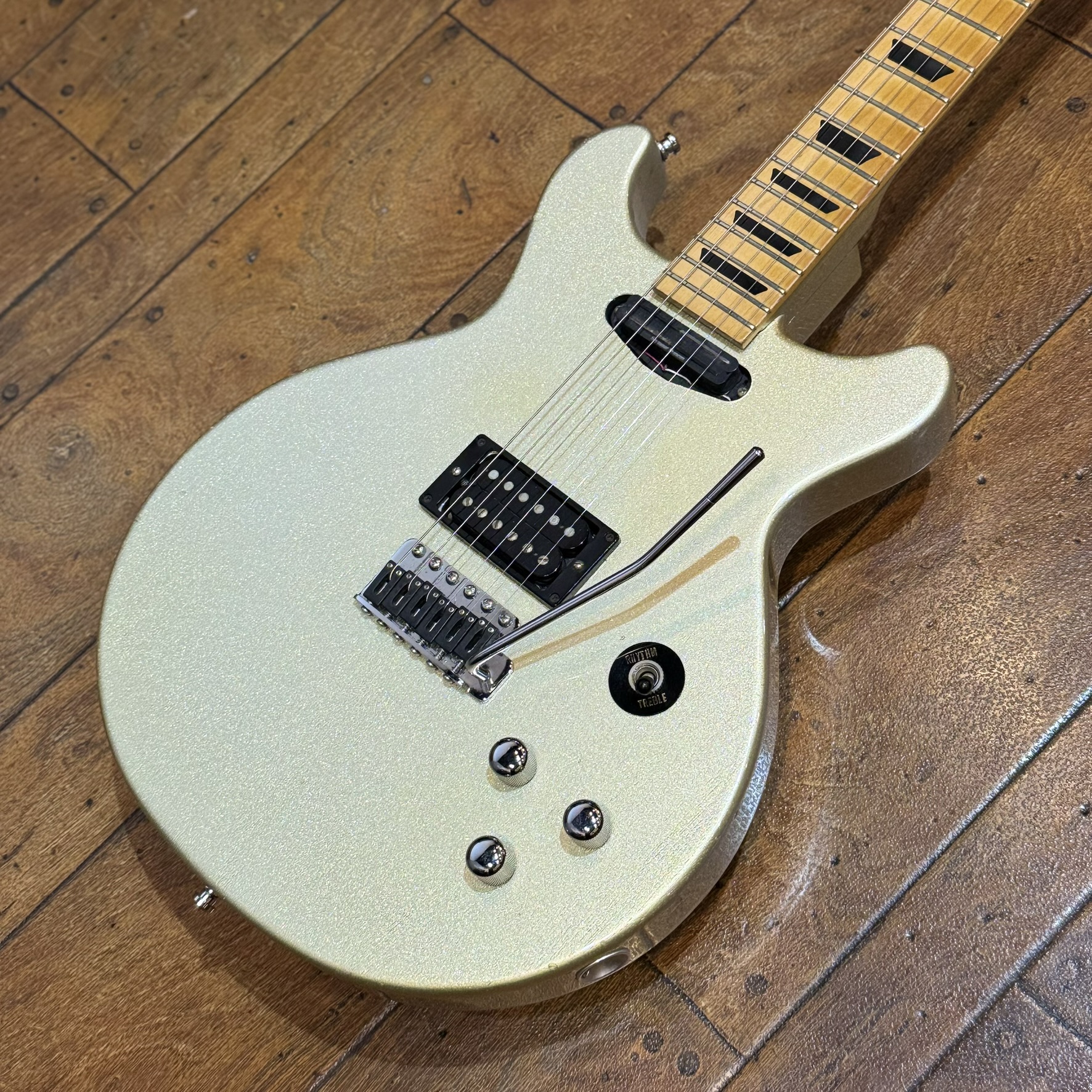 TKR-03 GLAY TAKURO Model Journeyman / SG Crafts エレクトリック