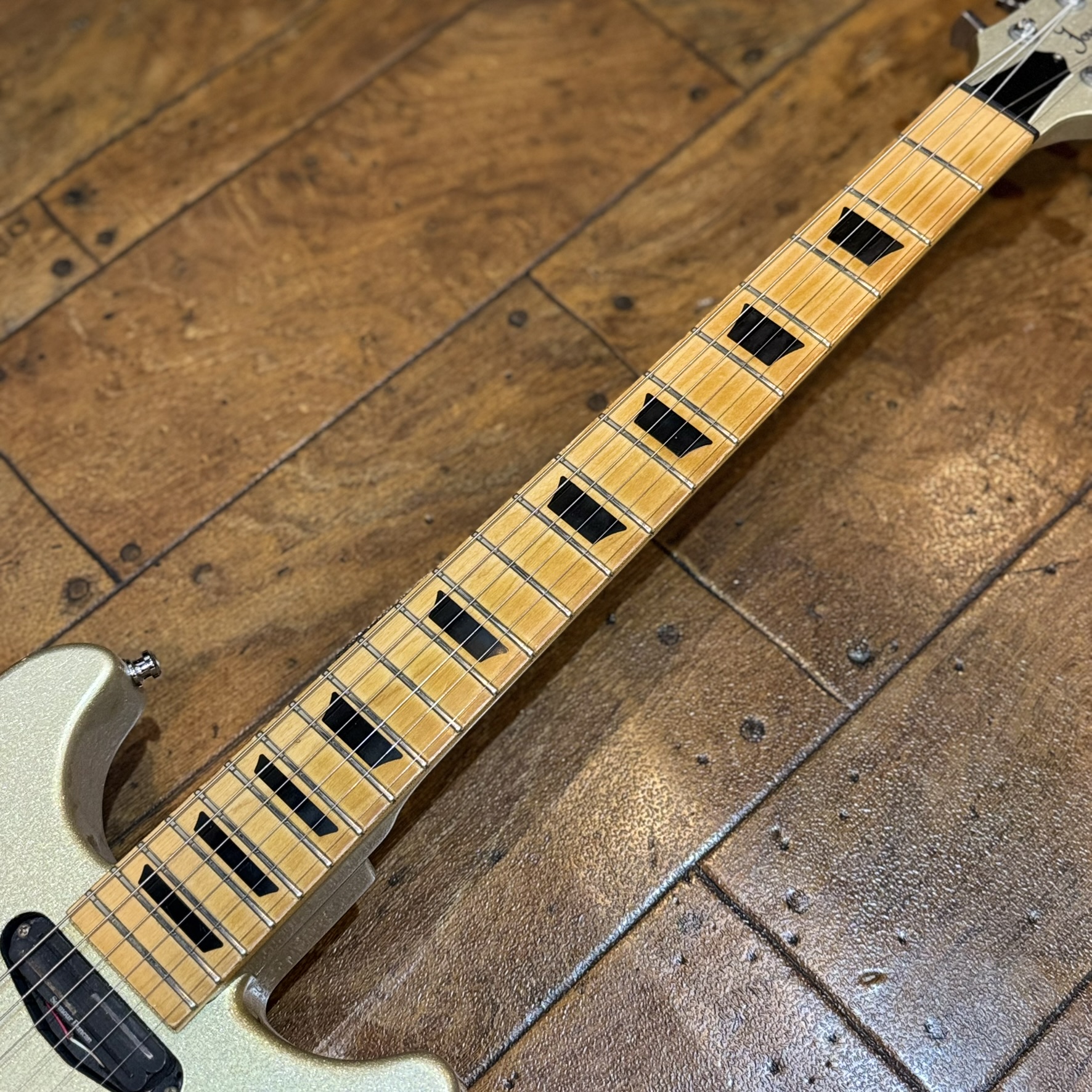 TKR-03 GLAY TAKURO Model Journeyman / SG Crafts エレクトリック