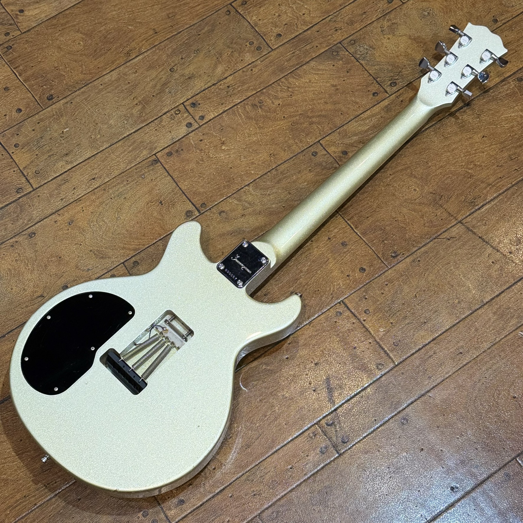 TKR-03 GLAY TAKURO Model Journeyman / SG Crafts エレクトリック