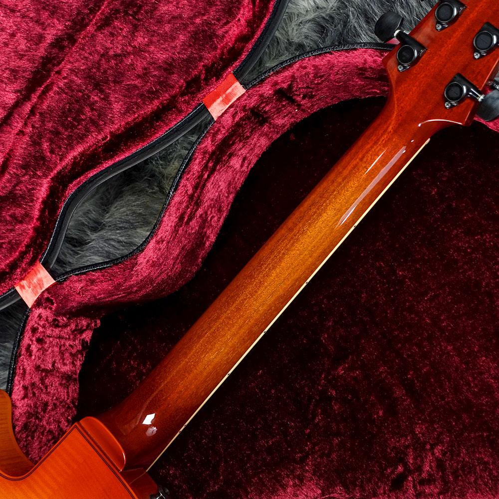 SS-15 Violin Burst Sadowsky エレクトリックギター フルアコ 商品詳細