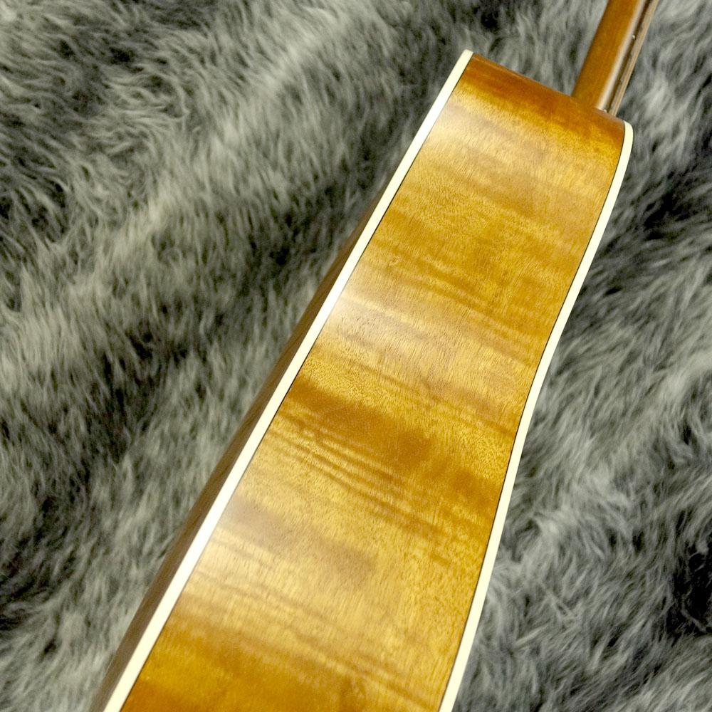 D-240E Flamed Mahogany Natural Guild エレクトリック