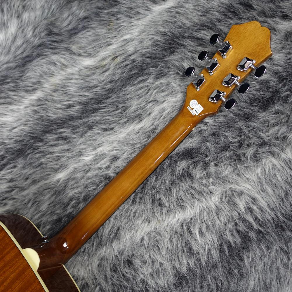 DR-100 VS Epiphone アコースティックギター フラットトップ 商品詳細