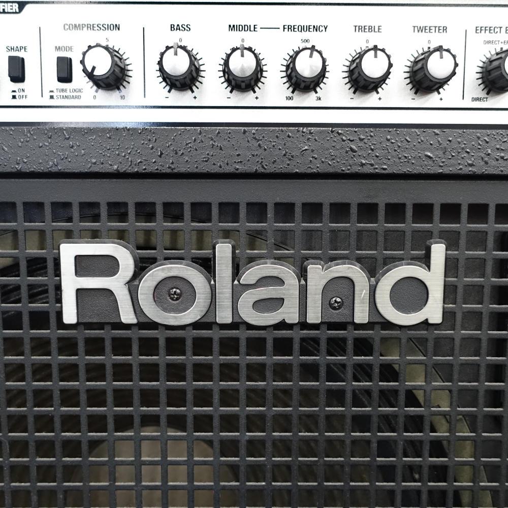 D-Bass 115 Roland ベース用アンプ/アンプシミュレーター ベースアンプ