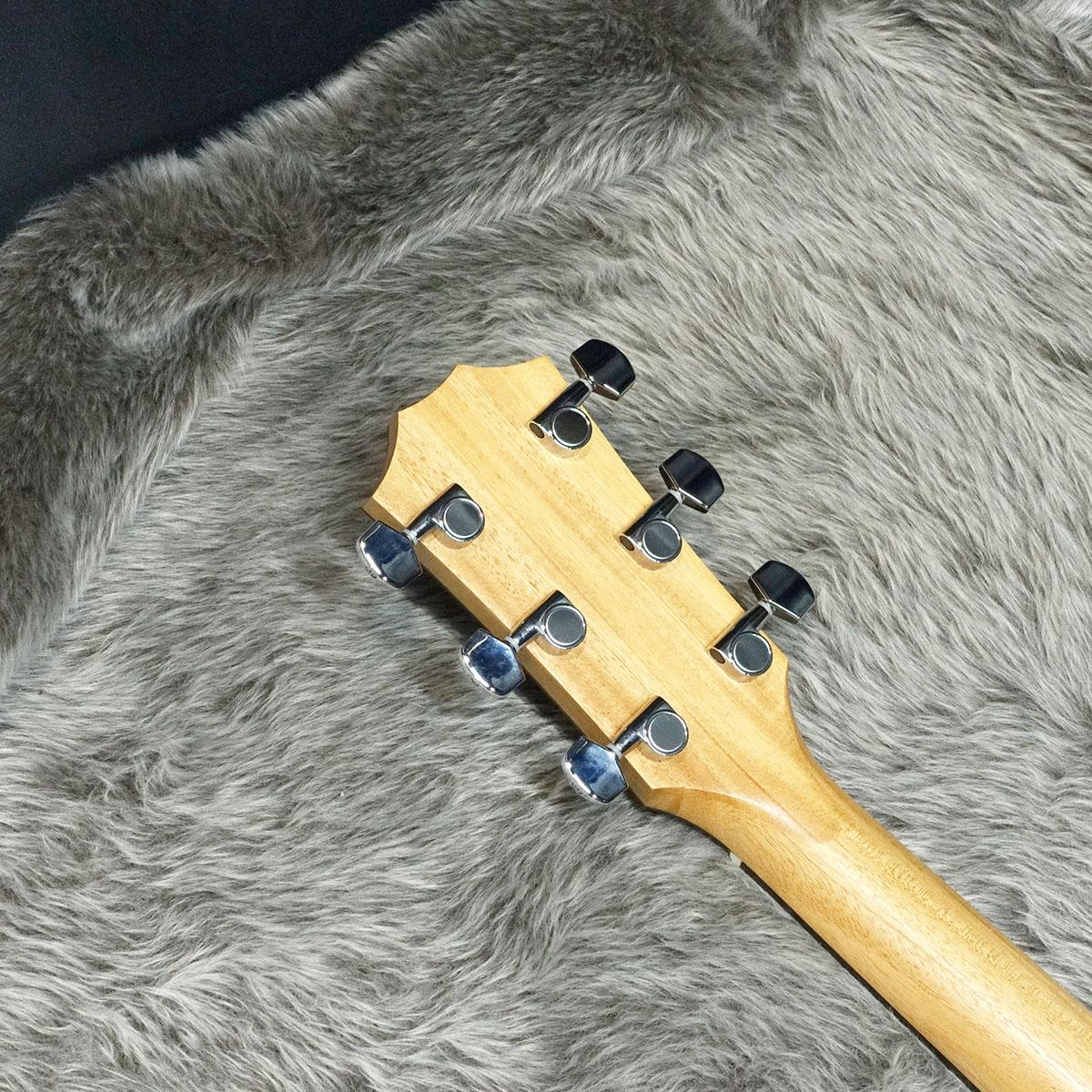 214ce RW 【アウトレット】 Taylor エレクトリック・アコースティック