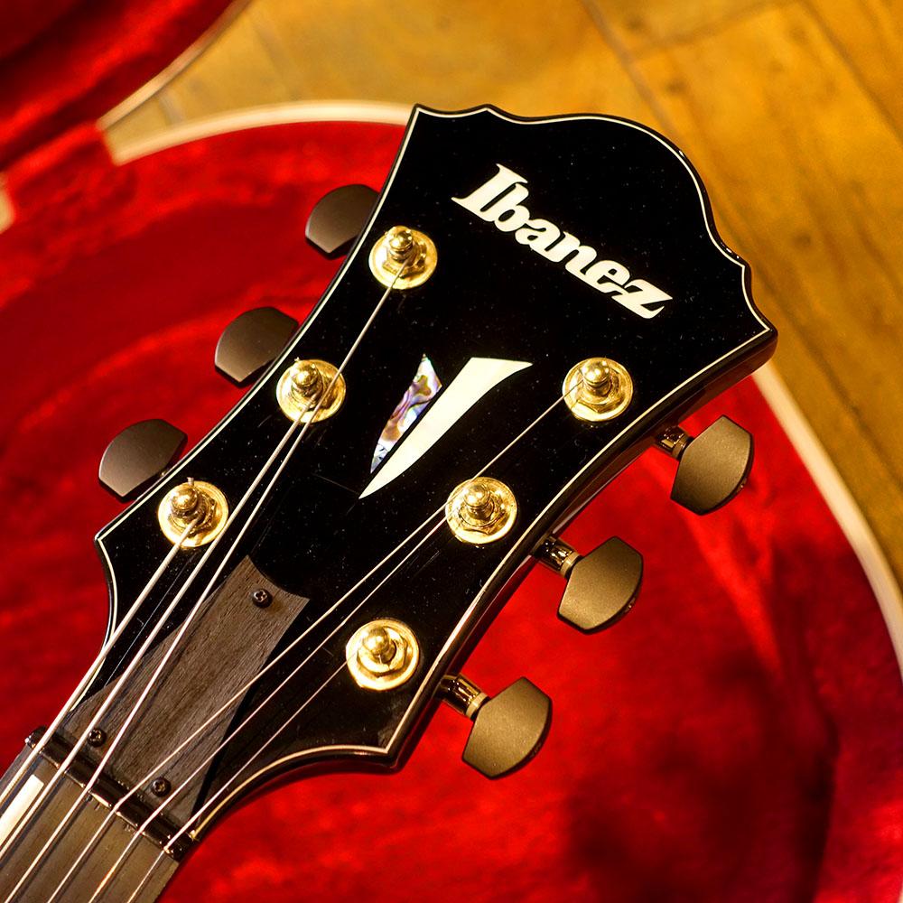 AFC151-TBC Ibanez エレクトリックギター フルアコ 商品詳細