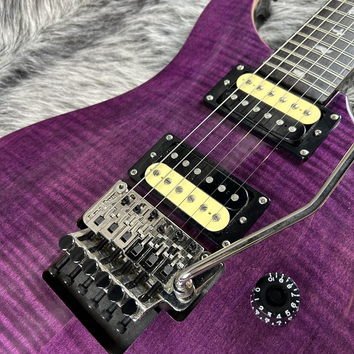 SE Floyd Custom 24 Amethyst Paul Reed Smith エレクトリックギター