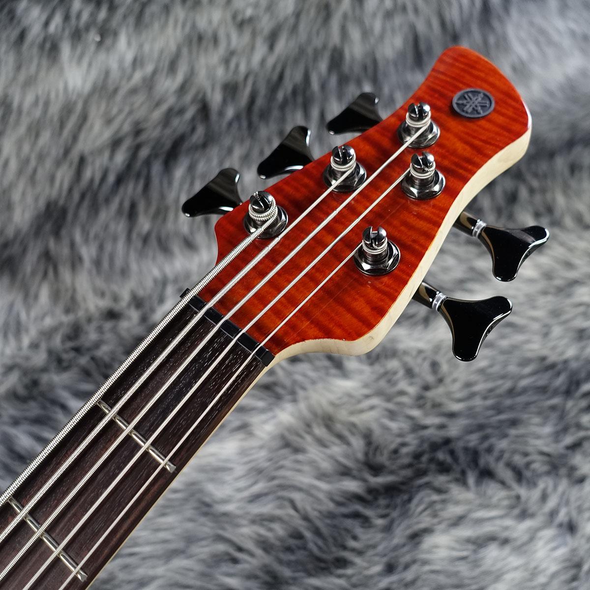 TRBX605FM CMB YAMAHA エレクトリック・ベース その他のエレキベース