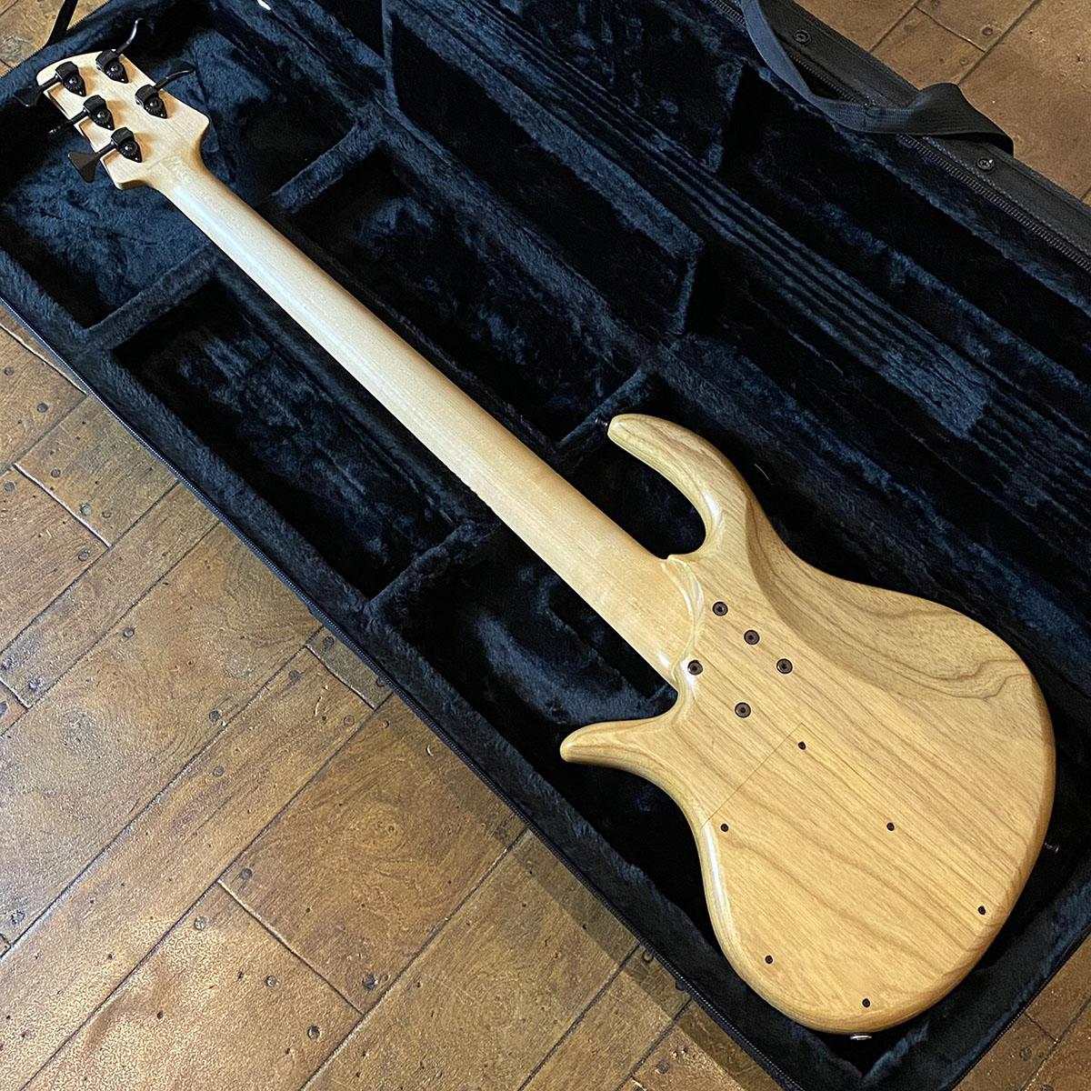 Gold Series e-volution Fretless 5st Spalted Maple Burl Top elrick