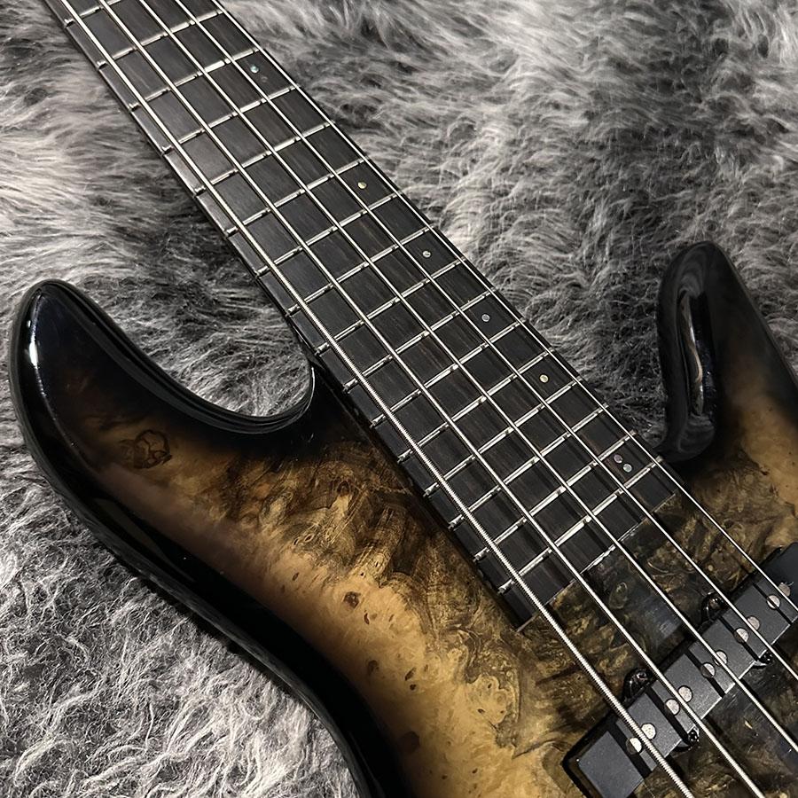 Emperor 5 Deluxe Buckeye Burl Fodera エレクトリック・ベース その他