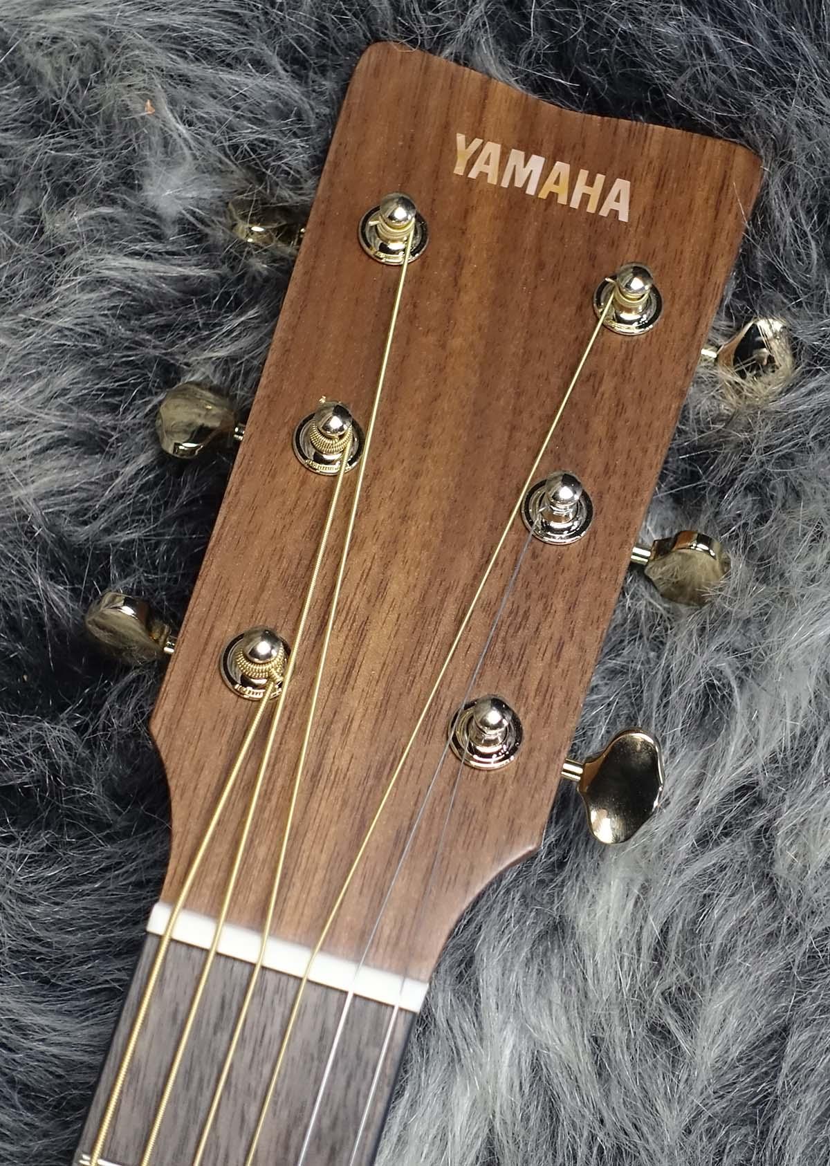 STORIAII YAMAHA エレクトリック・アコースティックギター エレアコ