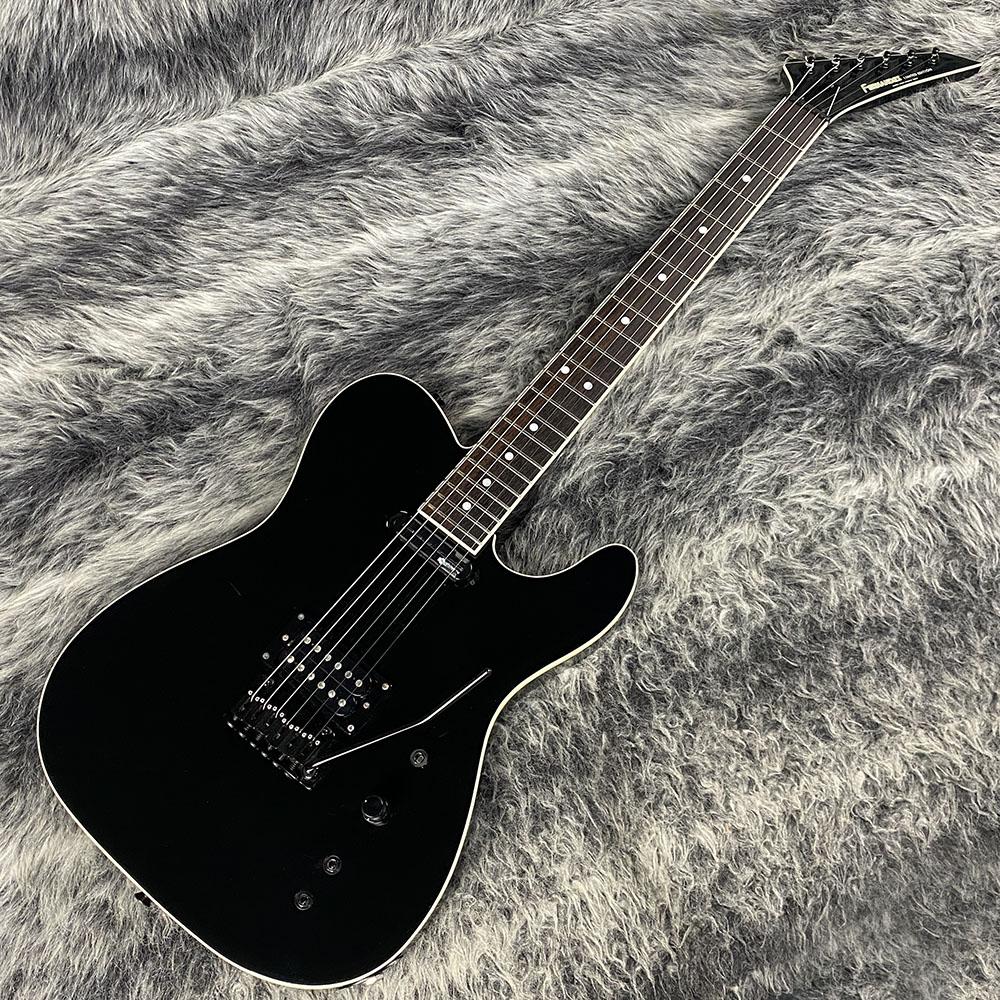 TEJ-DELUXE SUS BLK FERNANDES エレクトリックギター テレキャスター