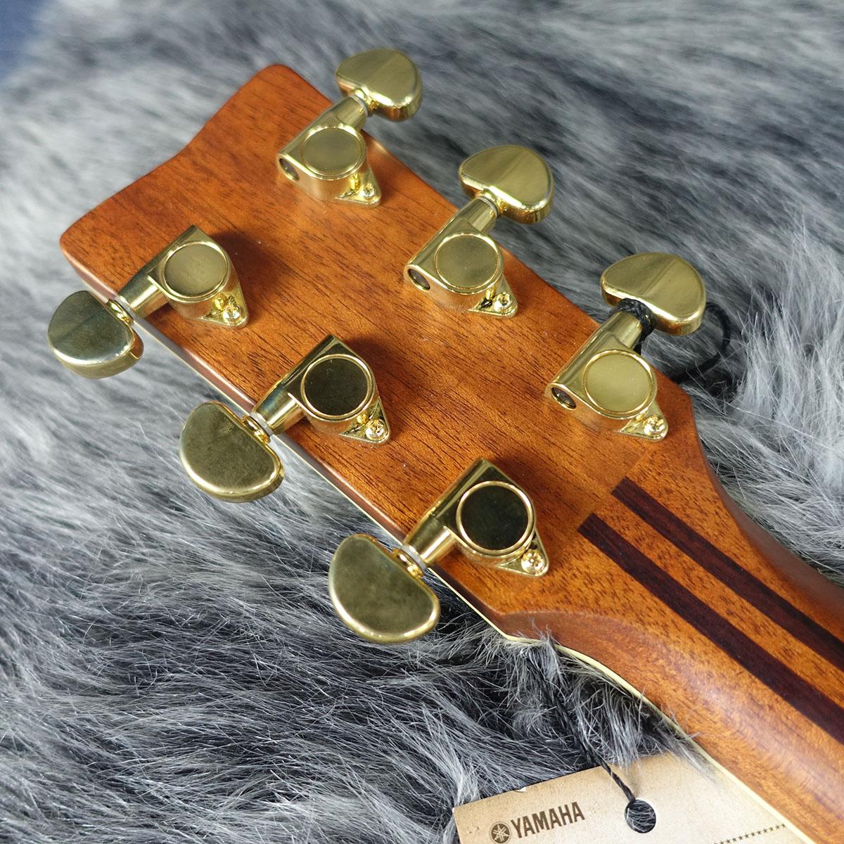 LJ6 ARE Natural YAMAHA アコースティックギター フラットトップ 商品
