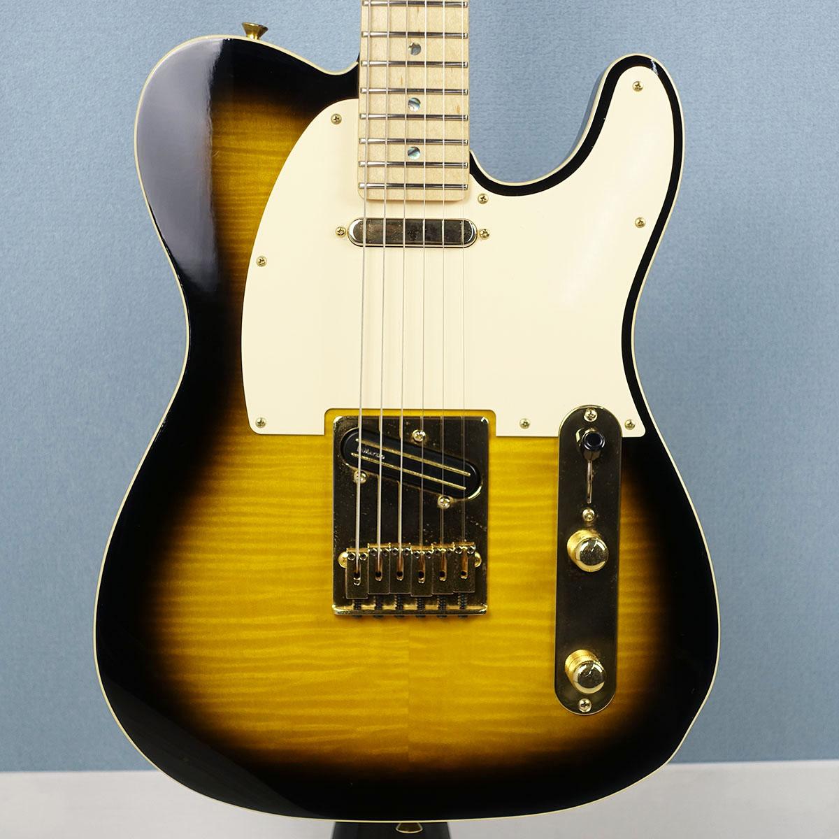 Richie Kotzen シグネイチャー テレキャスター（2025年6月購入・美品） Amazon.com: Fender Artist Series 255202532 Richie Kotzen