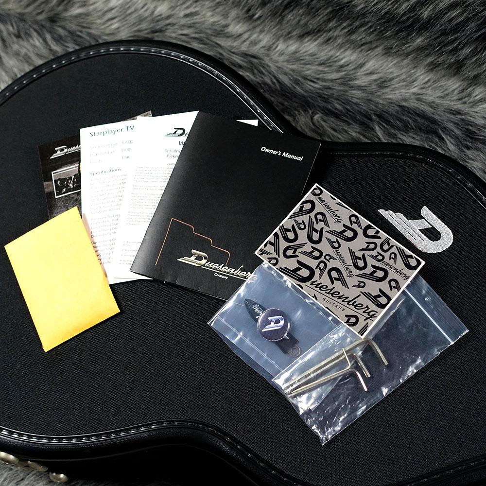 ディザスター・パレス2枚 DSR Starplayer TV TB Duesenberg エレクトリックギター レスポール