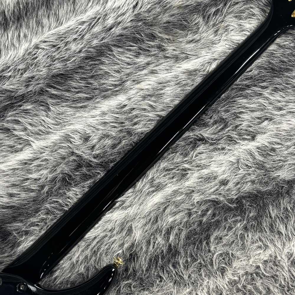 SWB-75 BL FERNANDES エレクトリック・ベース その他のエレキベース