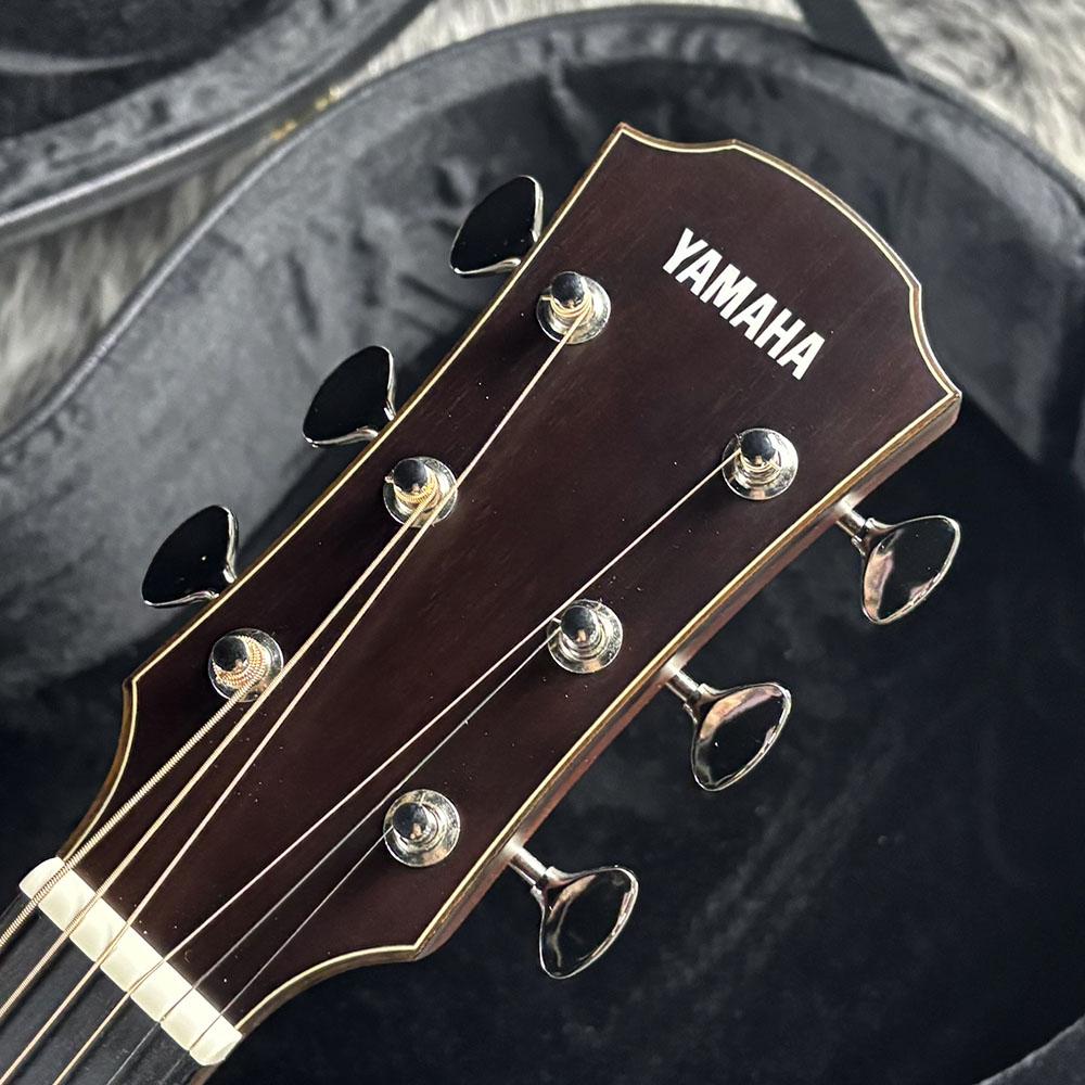 AC5M ARE YAMAHA エレクトリック・アコースティックギター エレアコ
