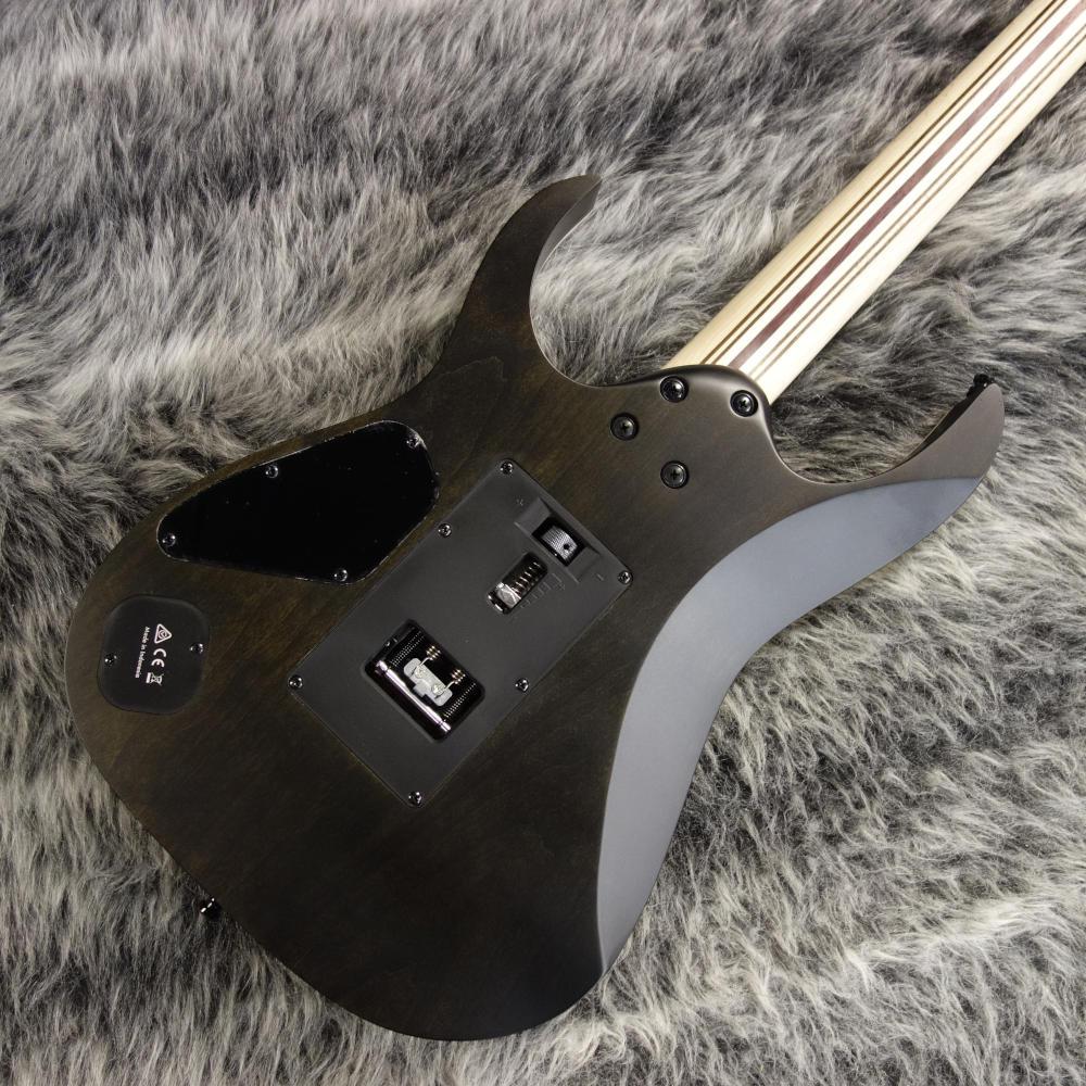 RG1120PBZ CIF Ibanez エレクトリックギター ストラトキャスタータイプ