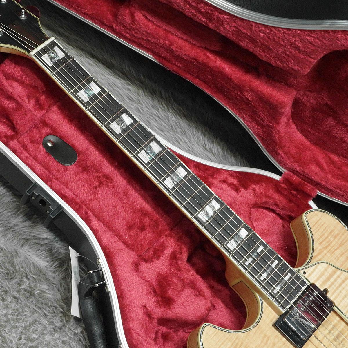 ASV113 Resonant Natural Ibanez エレクトリックギター その他セミアコ