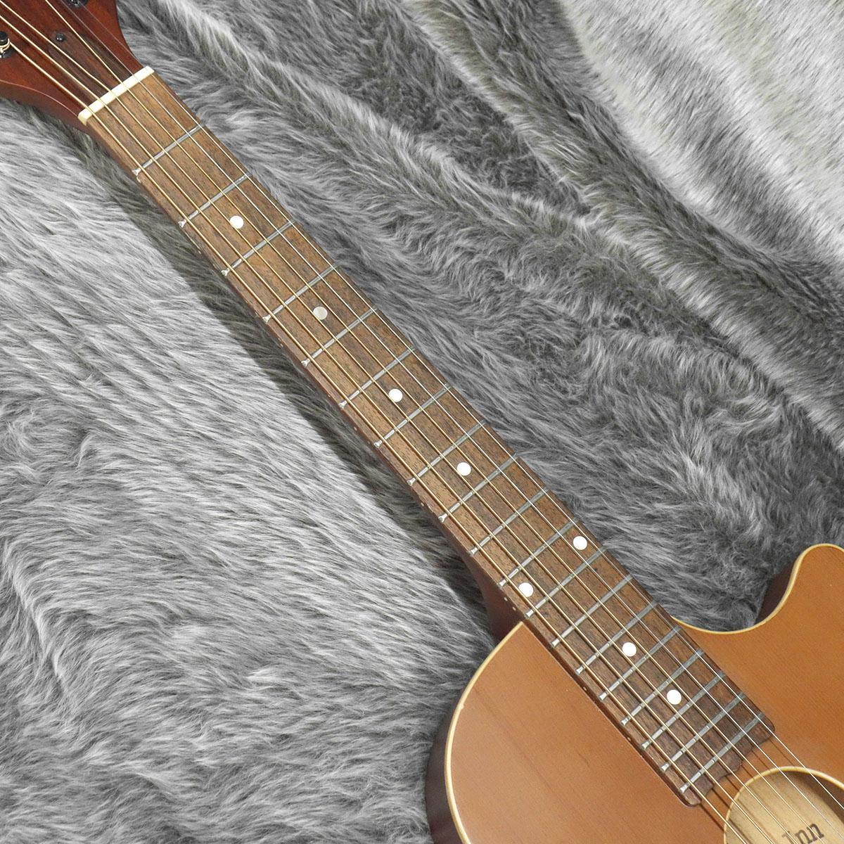 Bamboo-inn C Bamboo-inn アコースティックギター フラットトップ 商品 
