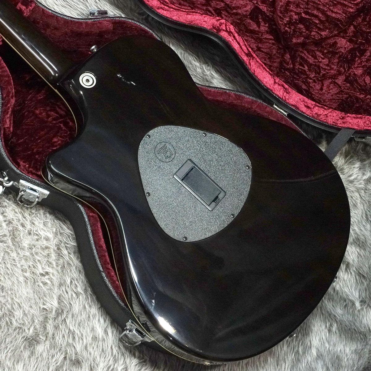 T5-S1 TPB 【2013年製】 Taylor エレクトリックギター その他の