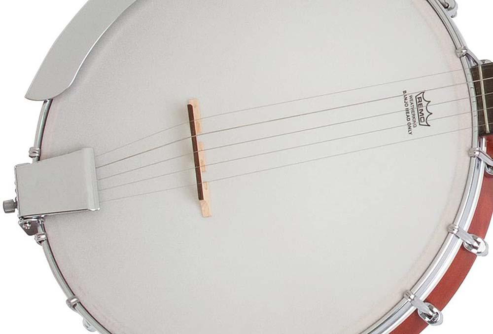 MB-100 Banjo Natural Epiphone バンジョー/マンドリン/ラップ
