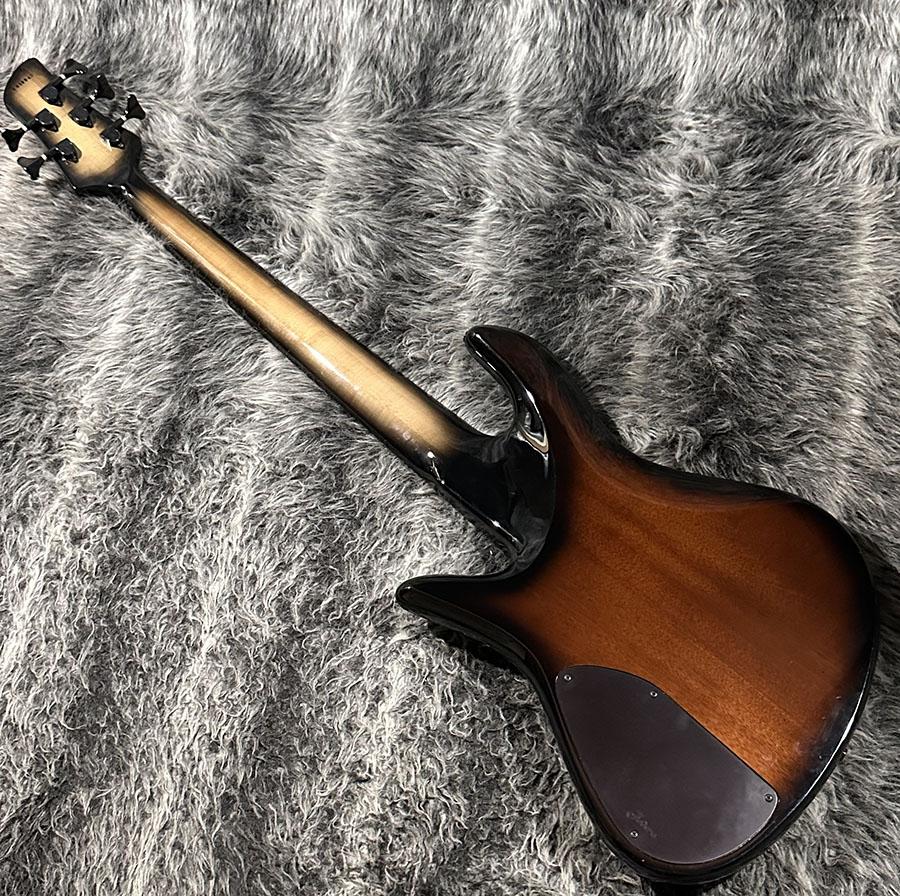 Emperor 5 Deluxe Buckeye Burl Fodera エレクトリック・ベース その他