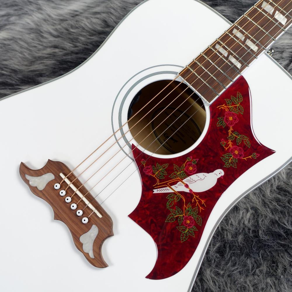 Limited Edition Dove Pro Alpine White【B級特価品】 Epiphone