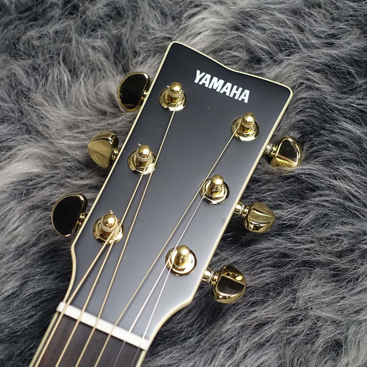 LL6 ARE BL YAMAHA アコースティックギター フラットトップ 商品詳細
