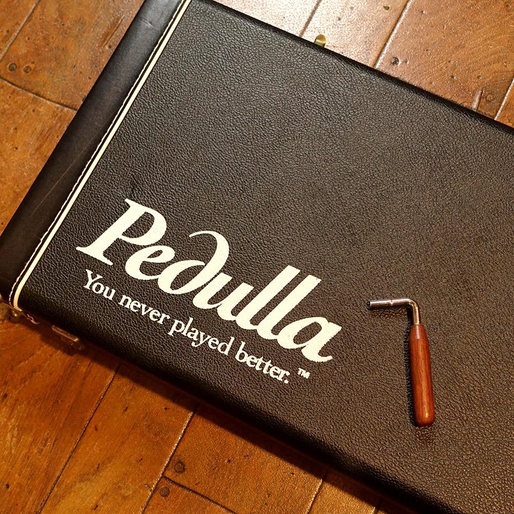 HEXABUZZ Vintage Cherry Sunburst 1992 Pedulla エレクトリック