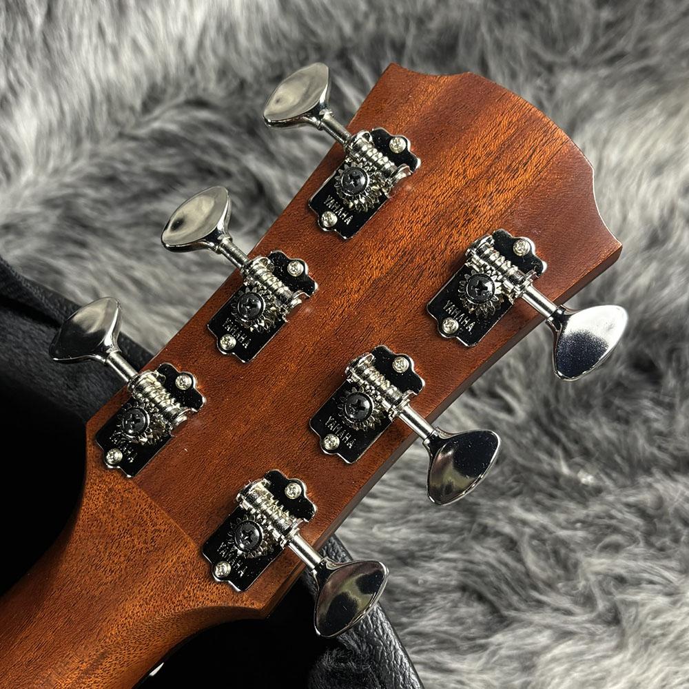 AC5M ARE YAMAHA エレクトリック・アコースティックギター エレアコ