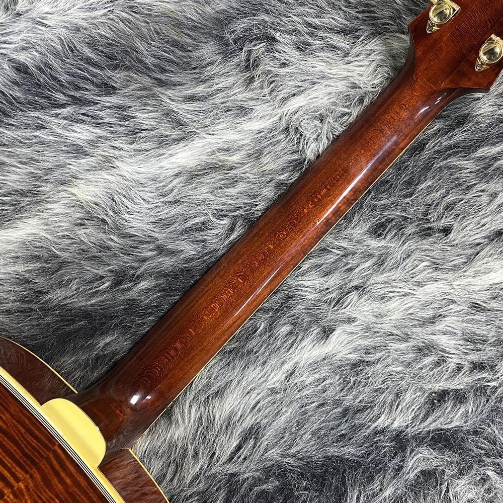 AR-800 Eastman アコースティックギター アーチトップ 商品詳細