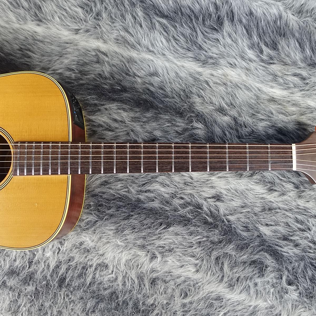 EN-10 Takamine アコースティックギター フラットトップ 商品詳細