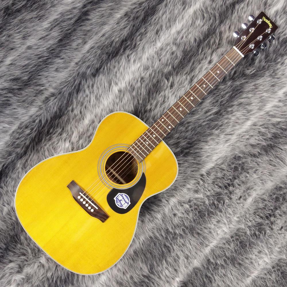 Headway HF-45S ANA専用 Headway ヘッドウェイ アコースティックギター HF-45S ANA アコギ
