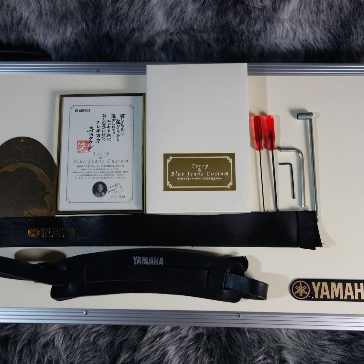 TBJ-CST Terry & Blue Jeans Custom RPW YAMAHA エレクトリックギター