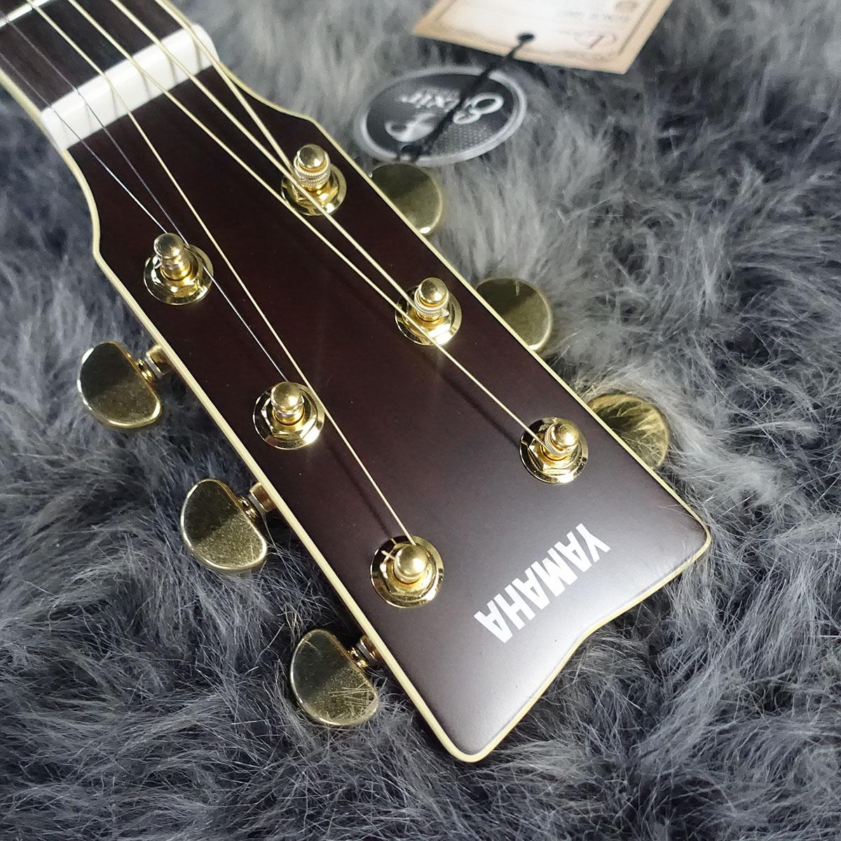LL6 ARE DT YAMAHA アコースティックギター フラットトップ 商品詳細