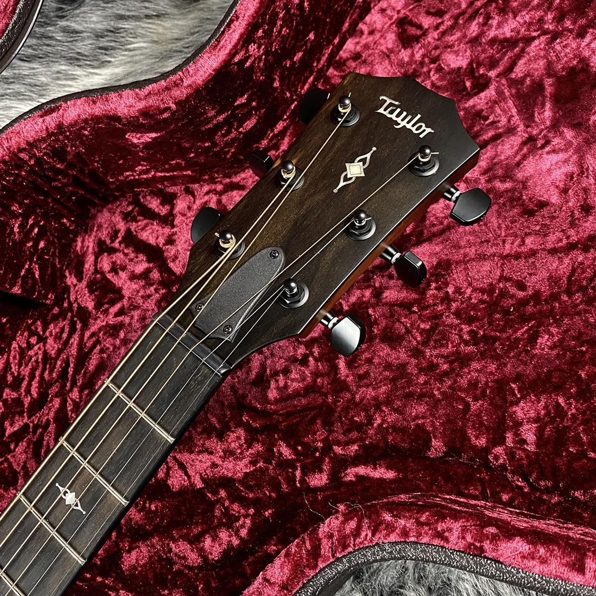 322ce Blackwood V-Class 2021 Taylor アコースティックギター 